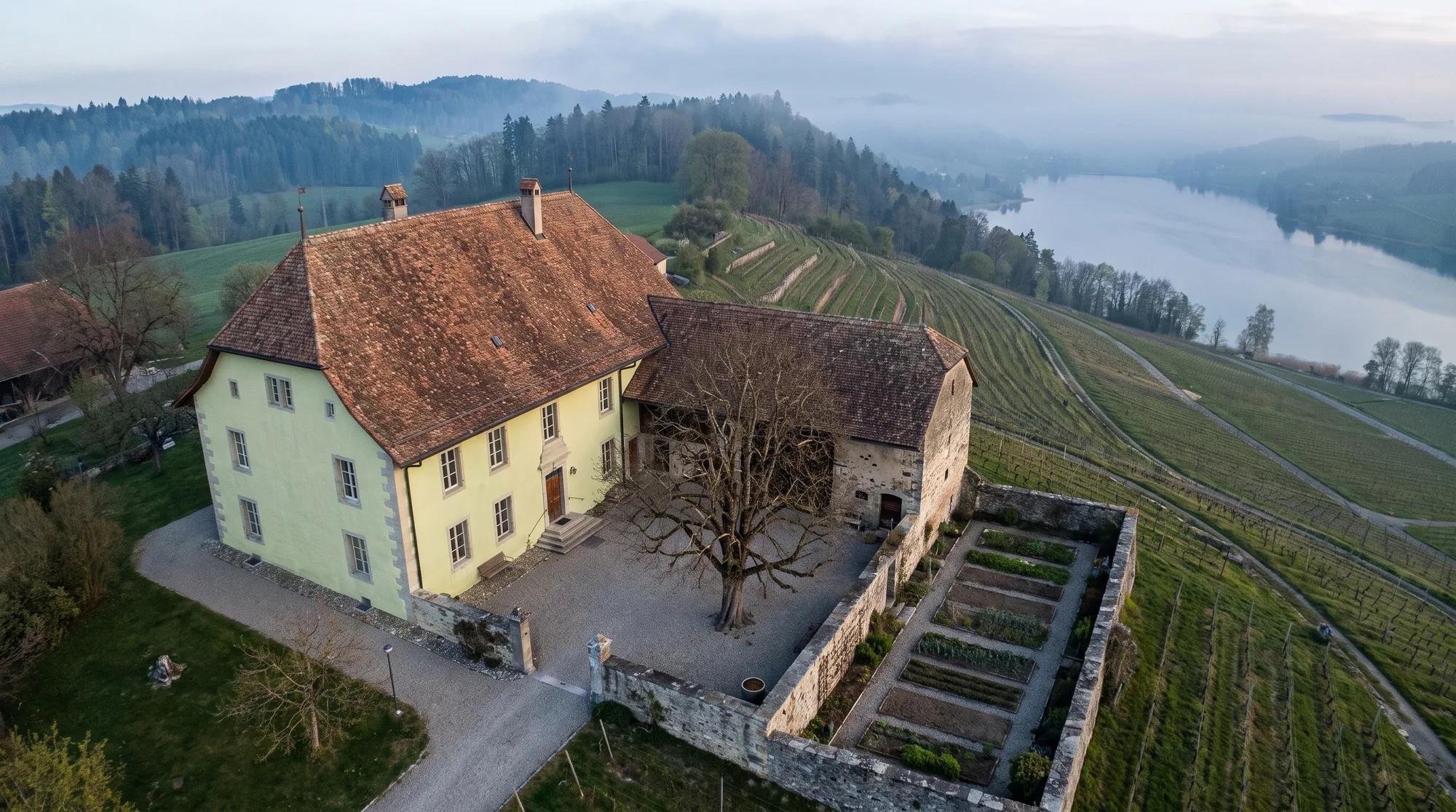 Das Anwesen aus der Luft im Morgennebel: Gutshaus, angebaute Steinscheune und Küchengarten um einen Kiesplatz mit grosser Kastanie, ringsum Rebterrassen bis zum See.
